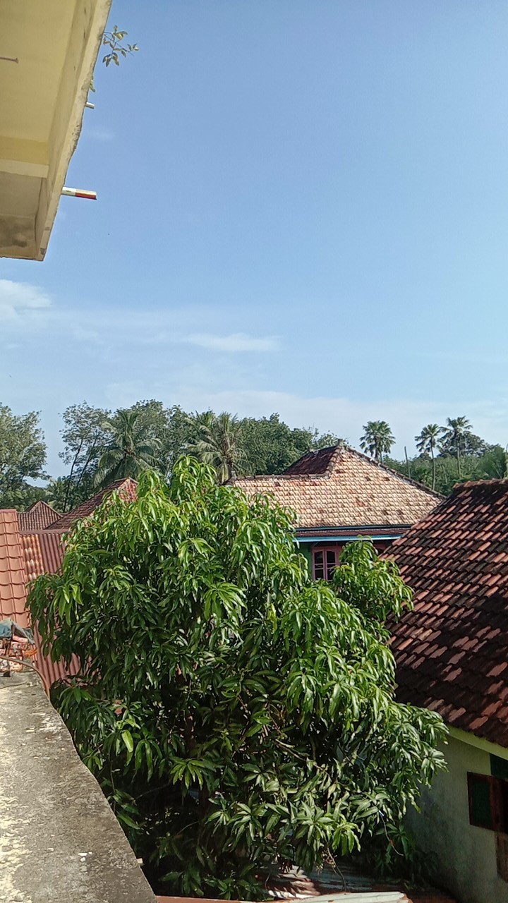 1set Setelan Sarung Kemeja Batik / Batik Solo / Batik Pekalongan Sarko / Sarkem Batik