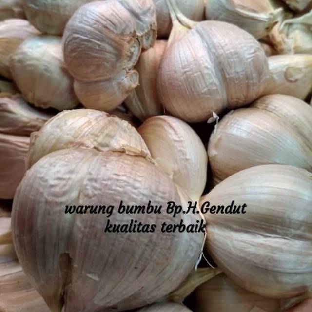 

Bawang kating 1kg
