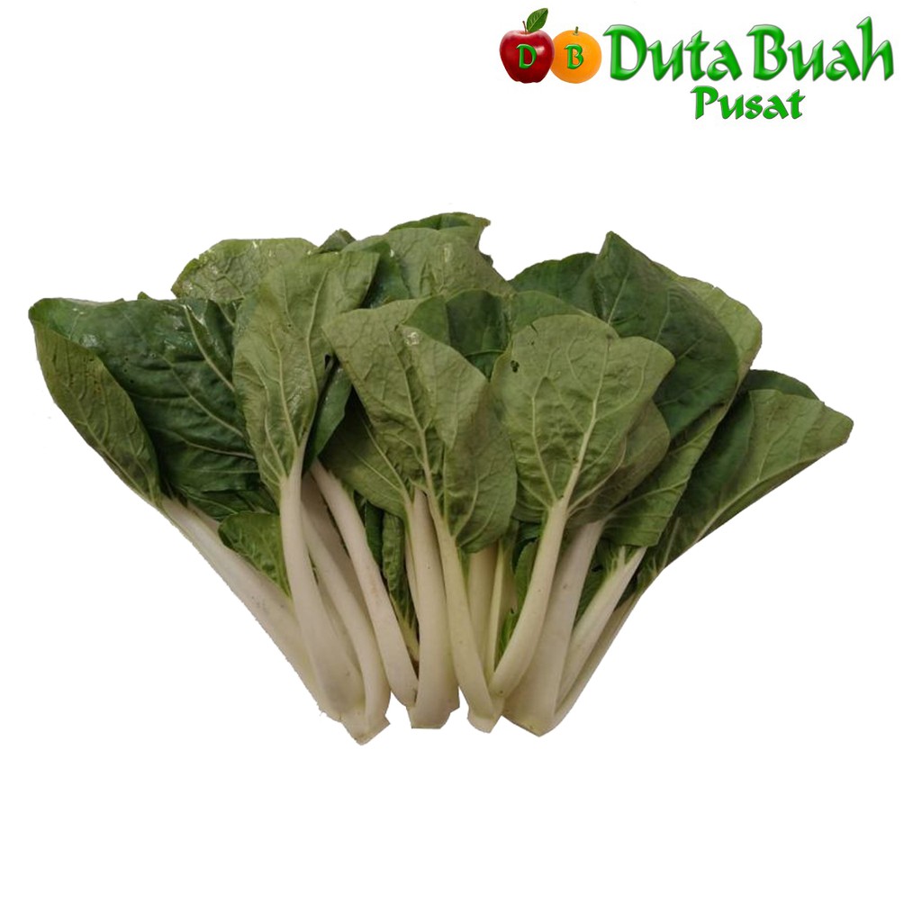 

DUTA BUAH Pak Coy Putih(250g)