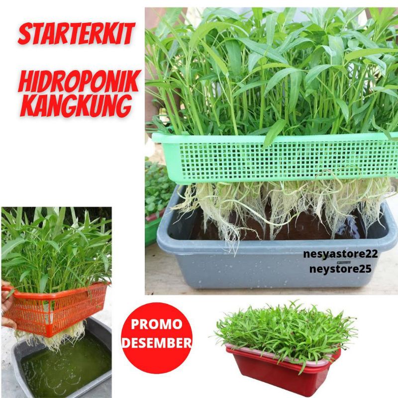 Jual Starterkit Kangkung Hidroponik Kit Kangkung Hidroponik Paket ...