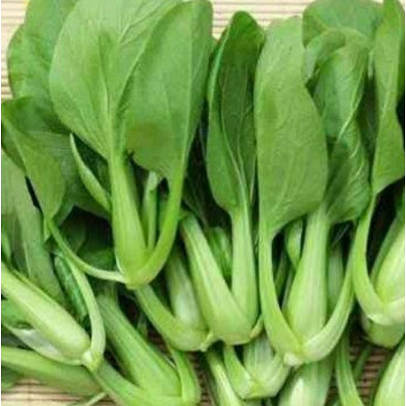 

SAYUR POKCAY SEGAR,FRES/500GRM