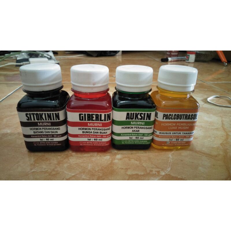 Paket Hemat Hormon ZPT Paket Lengkap Hormon ZPT Auksin Giberelin Sitokinin Giberlin Kualitas Super P