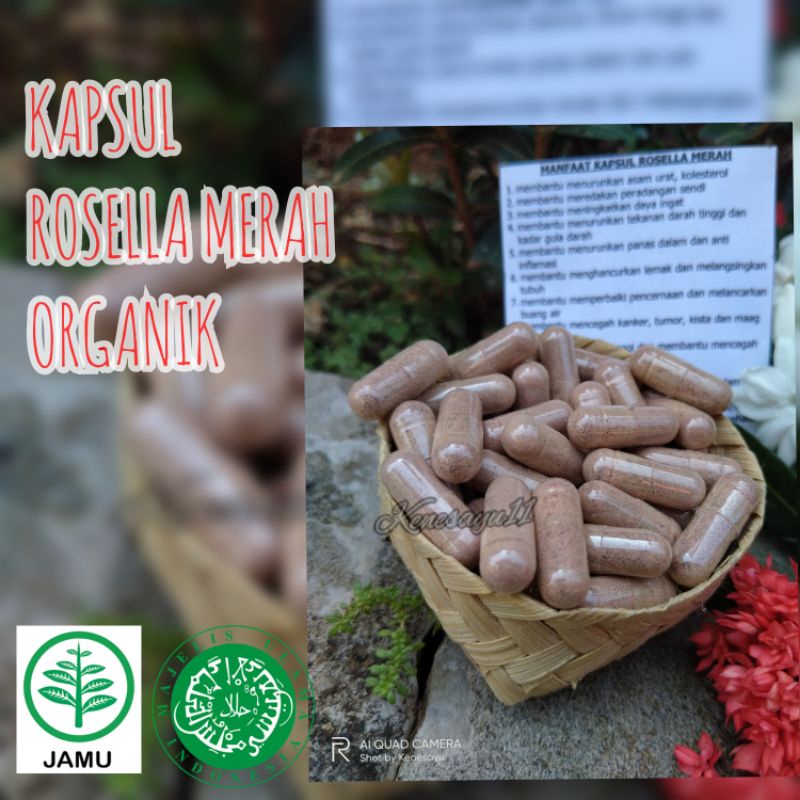 Jual KAPSUL ROSELLA/ROSELA MERAH ORGANIK | Shopee Indonesia