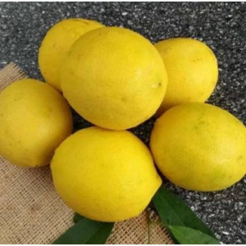 

Jeruk Lemon California Import/kg