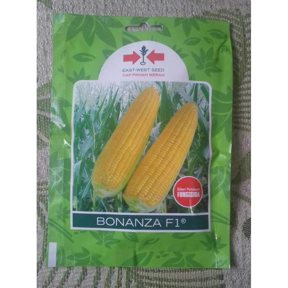 Deskripsi Tanaman Jagung Manis Varietas Bonanza F1 Deskripsi Tanaman Jagung Manis Varietas Bonanza F1