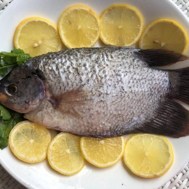 

Ikan Gurame Segar Fresh Utuh
