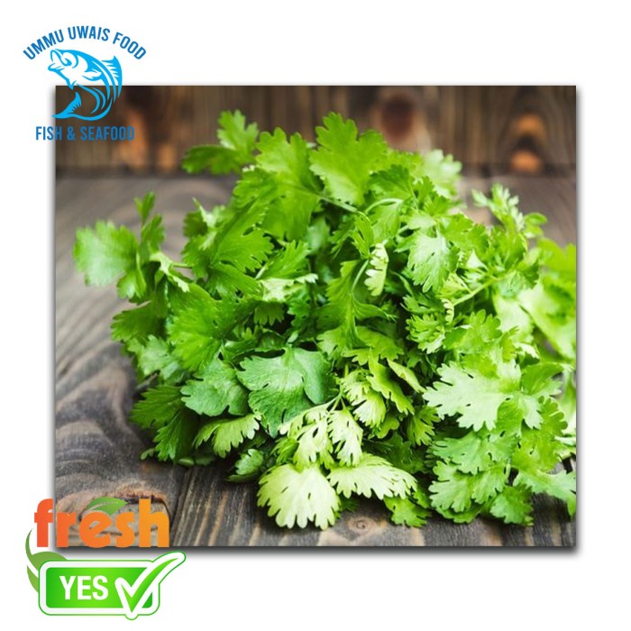 

Daun Ketumbar Segar - 100 Gram