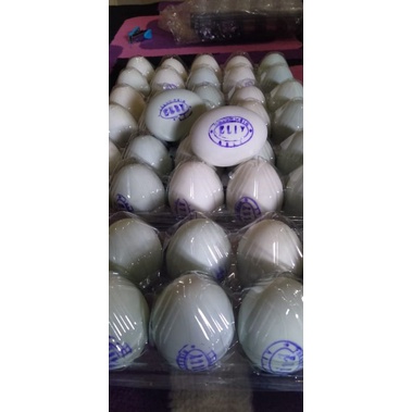 

TELUR ASIN Elly