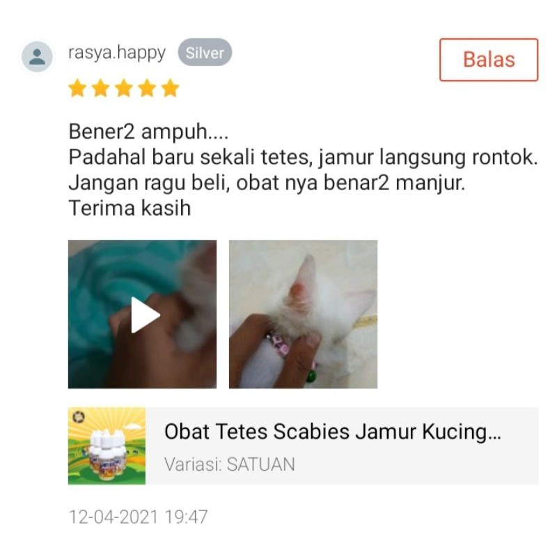 ANTISCAB - Obat Scabies Oles Kucing Kelinci Anjing Guinea pig Hair Loss Sugar Glider