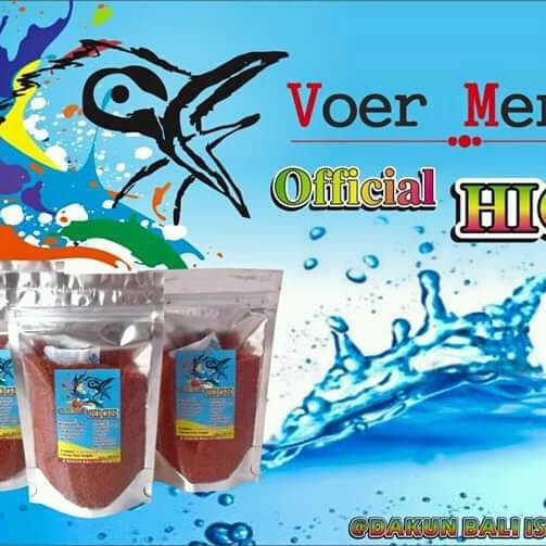 voer merah voer dakbal voer pleci