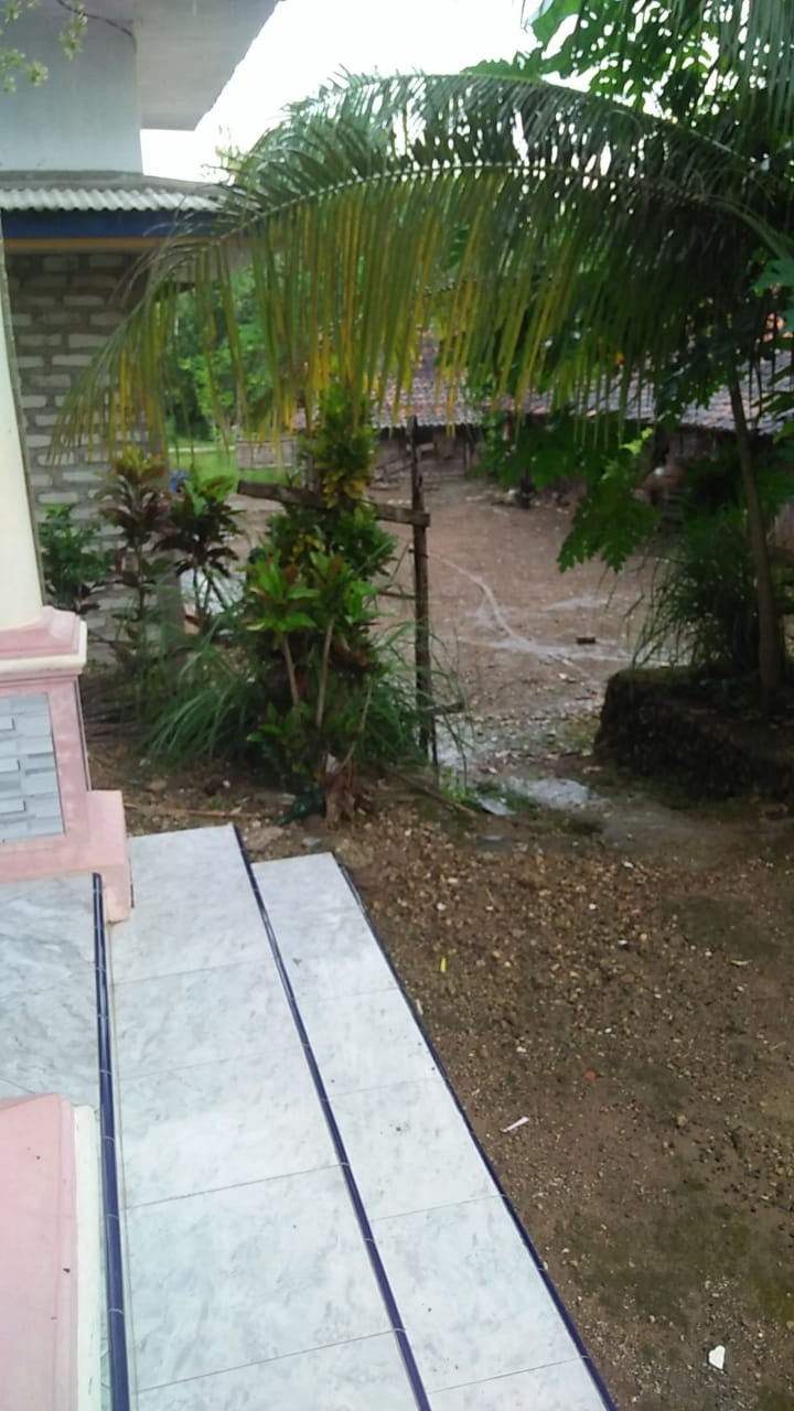 Roda Caster Kaster Etalase Troli Karet 3 Hidup