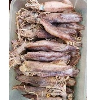 

Cumi Lontar Super Spesial telor 500gr