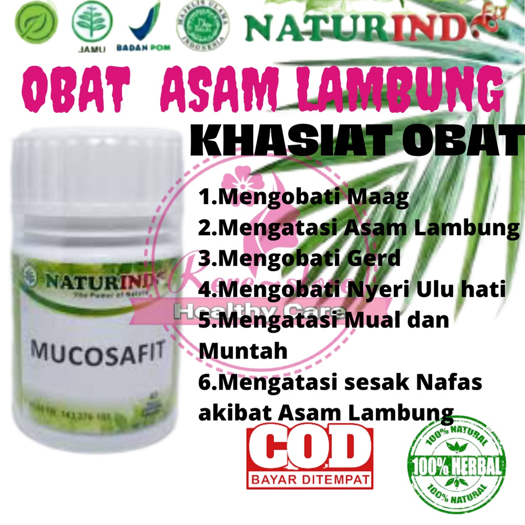 Obat maag magh ulu hati asam lambung tukak lambung gerd sakit perut melilit mag kronis ampuh herbal-8