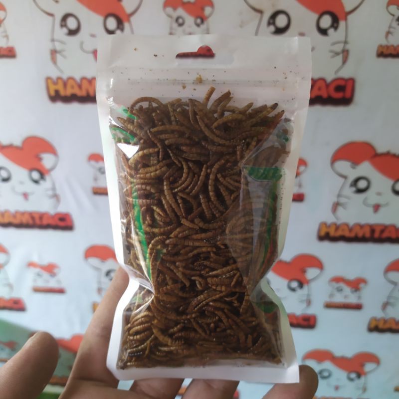 DRIED MEALWORM PROTEIN HAMSTER/GERBIL/SUGARGLIDER/LANDAK FOR DAILY NUTRITION