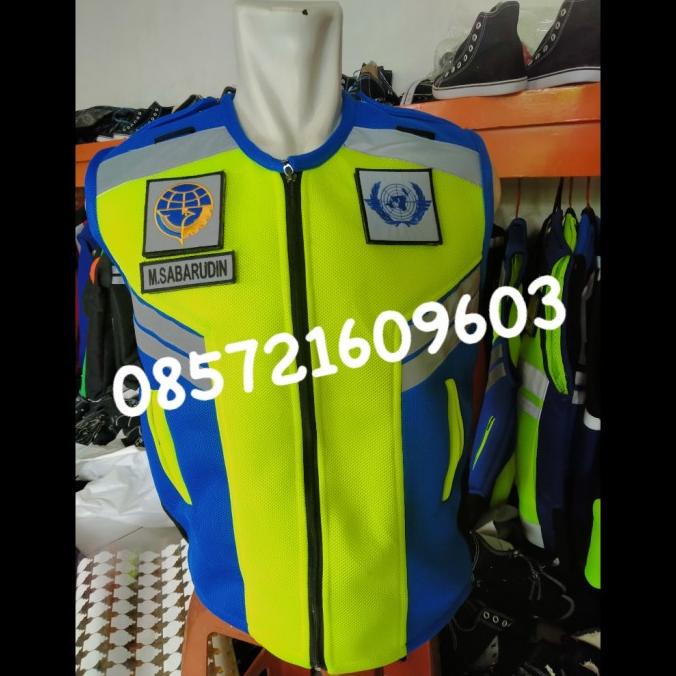 Nesdaywed | Rompi Avsec Lion