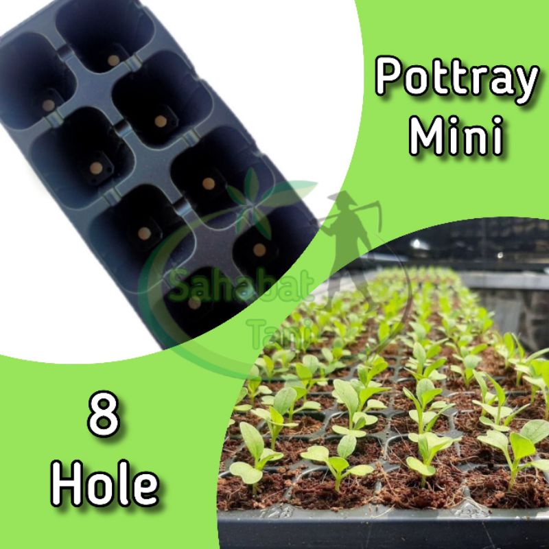 Pot tray mini_Tray semai_8 hole