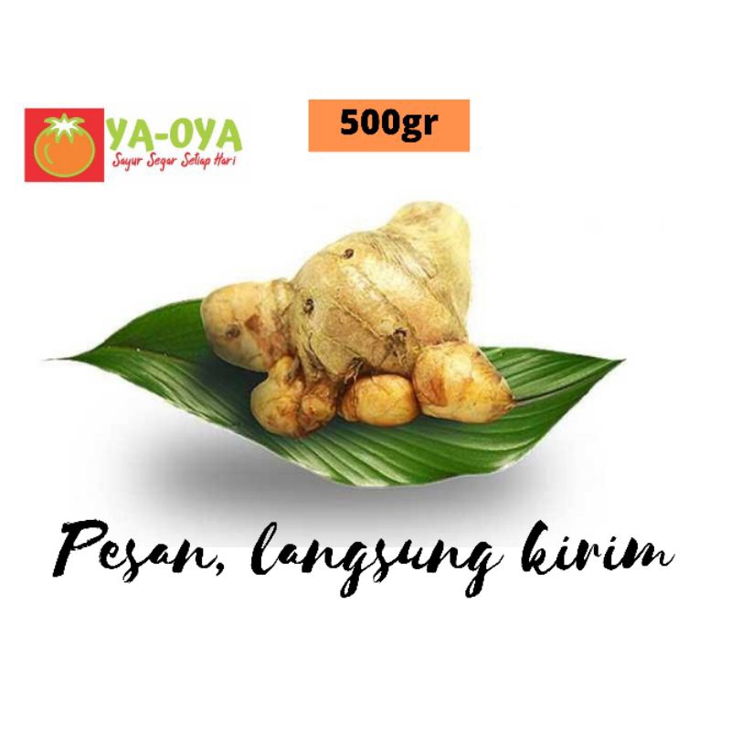 

TEMULAWAK 500gr