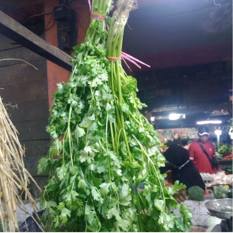 

Daun Segar Wansui / daun ketumbar - 1 Ikat - 40 Gr