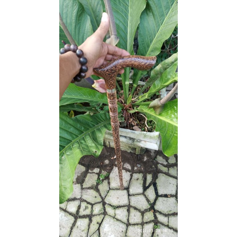 tongkat jalan kayu liwung