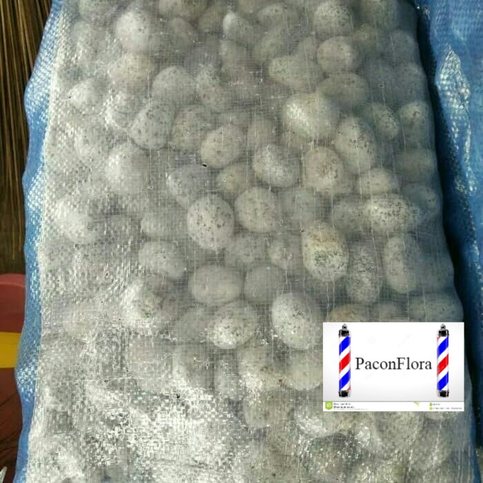 MURAH batu hias telur puyuh