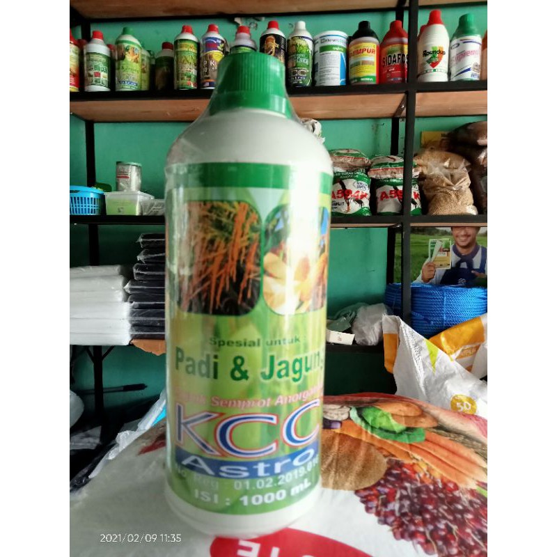 Pupuk kcc astro 1liter
