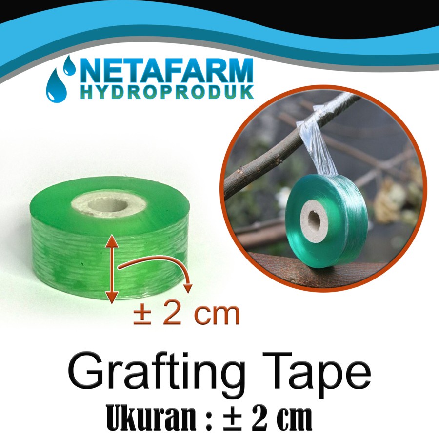 Grafting Tape Okulasi Cangkok Tanaman ± 2cm x 100m - Hijau