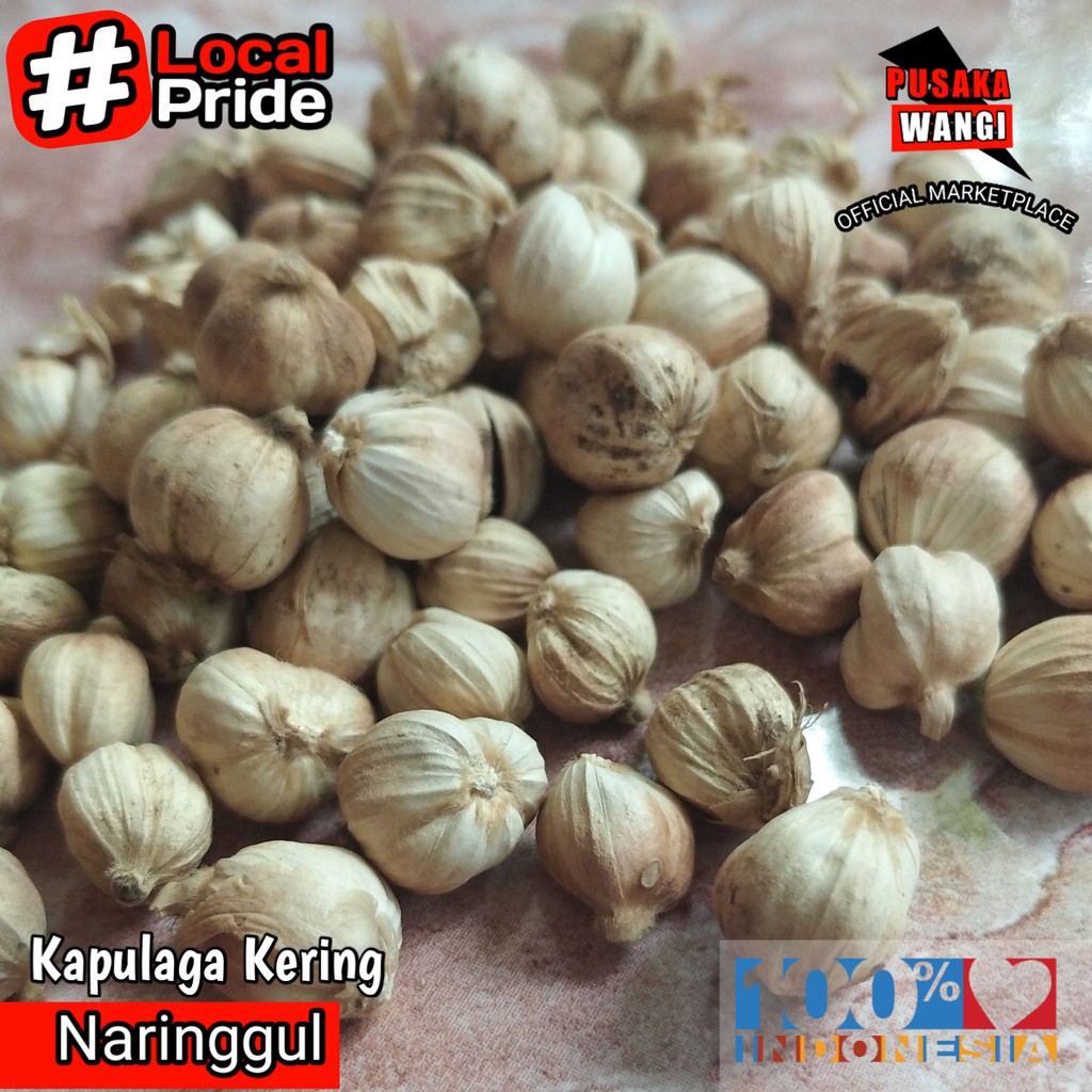 

Kapulaga 500gr Kapol Kering Best Quality Cardamom Java Tanpa Pemutih
