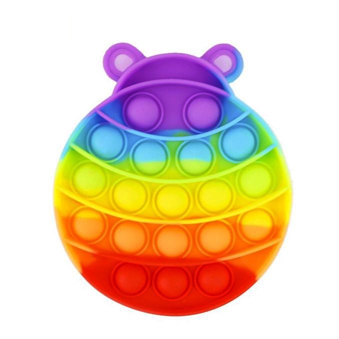 Mainan Push Pop It Fidget Toy Rainbow-3