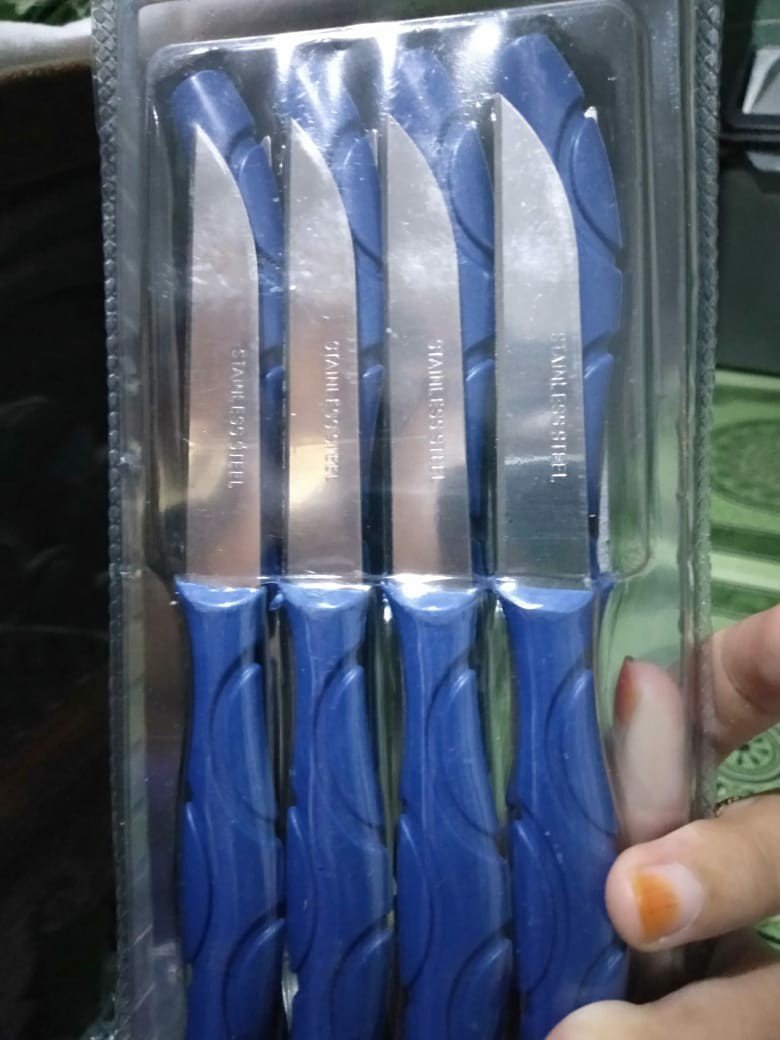 Pisau Buah Stainless Set Isi 12 Pcs Pisau Dapur Mini Pisau
