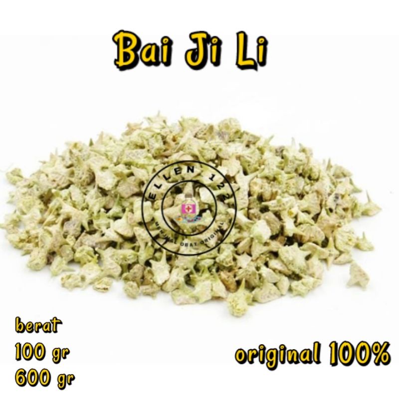 

Bai Ji Li 1000Gram 1kilogram Kg 白蒺藜 Baijili Herbal Tribulus Terrestris Caltrop Fruit Fructus Tribuli