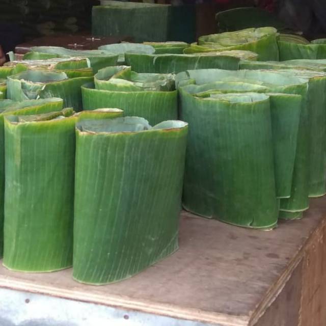 

Daun Pisang Batu
