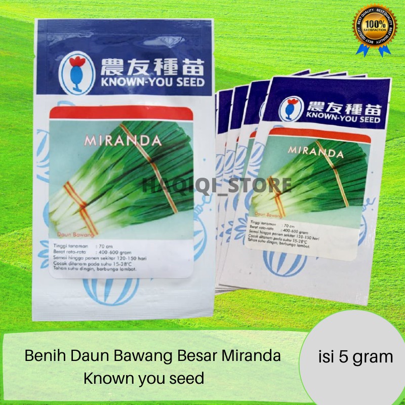 Benih Bibit Biji Daun Bawang Besar Benih Sayuran Daun Tanaman Tumbuhan Known You Seed Murah Terlaris