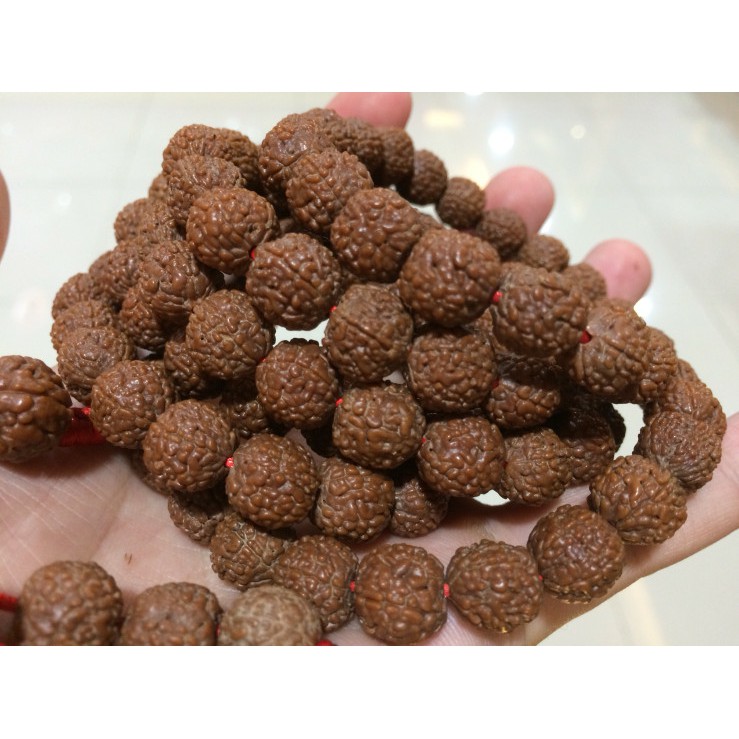 Gelang Tasbih Medana Super Grade A+ Rudraksha / Jenitri / Biji Bodhi