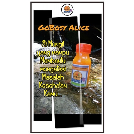 

obat ampuh hiv dan sipilis gobosy alice 8 botol