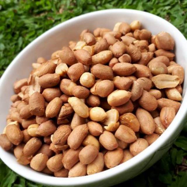 

Kacang Bali