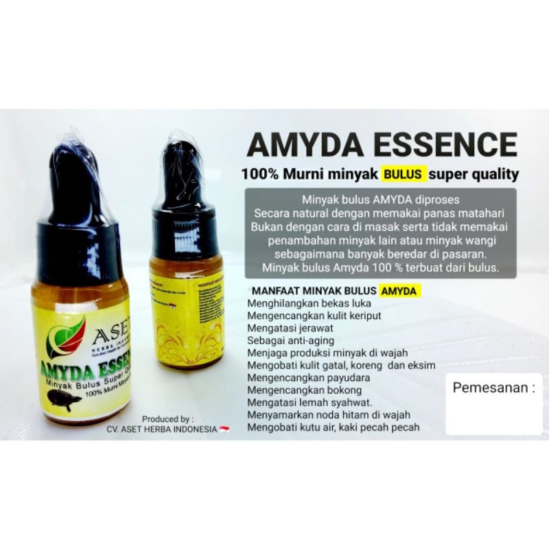 MINYAK BULUS AMYDA ESSENCE 100% BULUS Minyak pijat  Best Quality 10ml