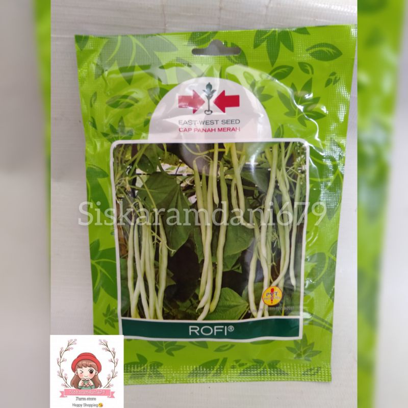 BENIH BIJI BUNCIS ROFI CAP PANAH MERAH ISI 225 BIJI