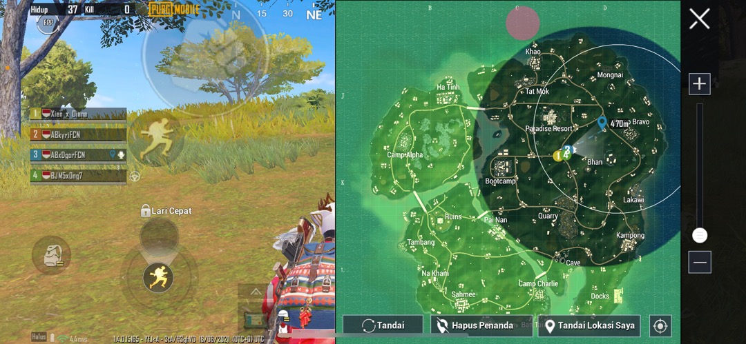 Carpet Seed Hair Grass Mini 3ml