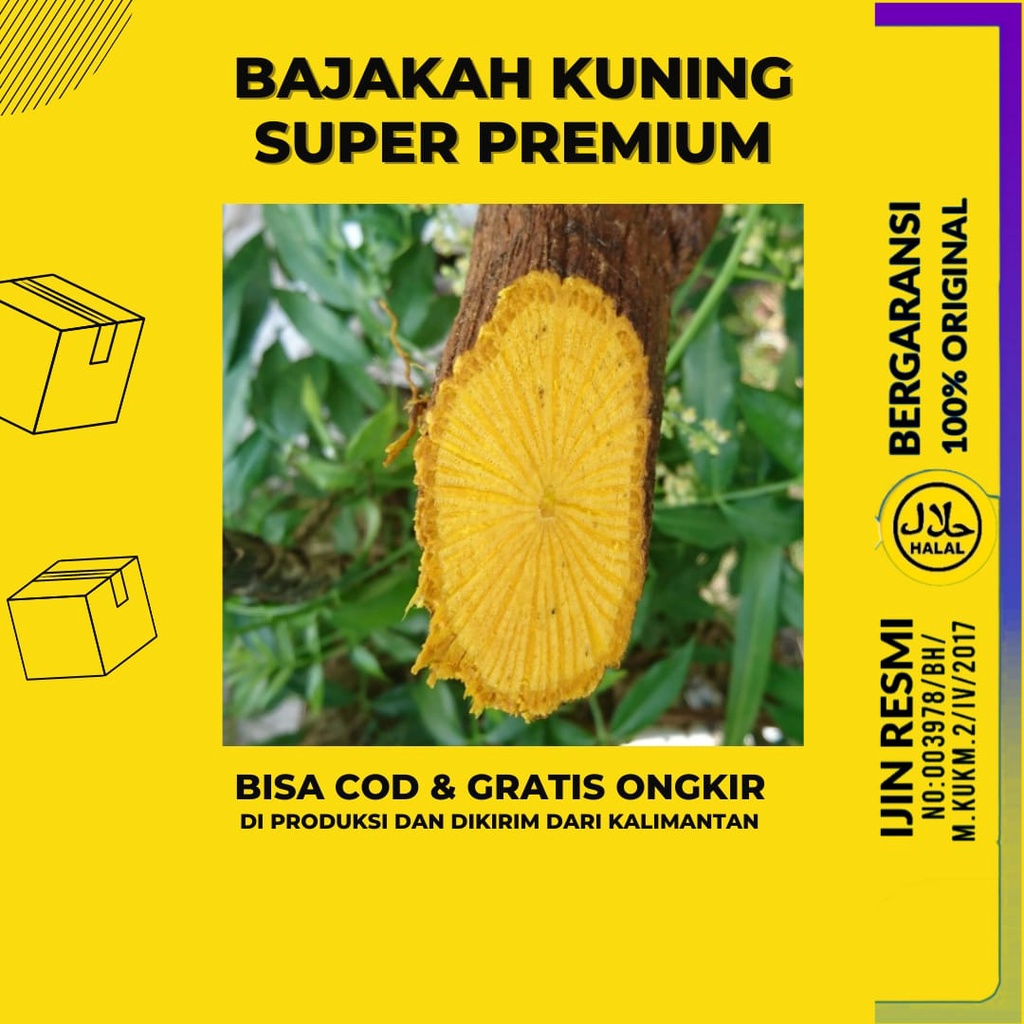 Akar Kuning Bajakah Kuning Asli Kalimantan Kualitas Super Premium Akar Bajakah Kayu Bajak Kayu Bajakah Akar Bajaka Obat Herbal Bajakah kalimantan Asli Diabetes Asam Lambung Urat Obat Maag Kencing Manis Gula Darah Liver Hepatitis Paling Ampuh Original 100%