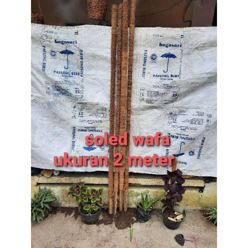 TURUS PENYANGGA TANAMAN RAMBAT 2METER 200CM