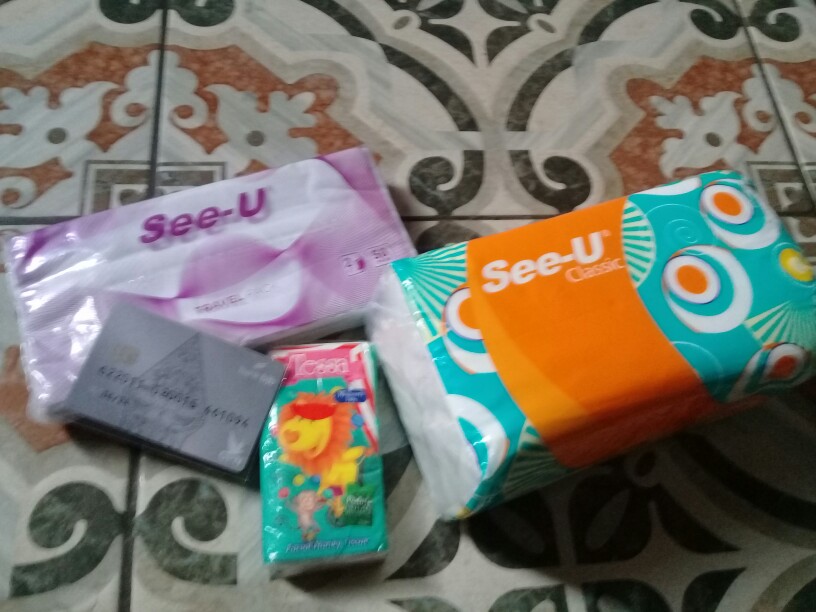 Takashi Tissue Tessa Pocket 12 Ply