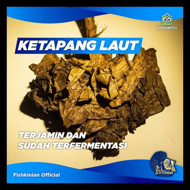 

KETAPANG LAUT OLAHAN FERMENTASI 50 GR BERKUALITAS