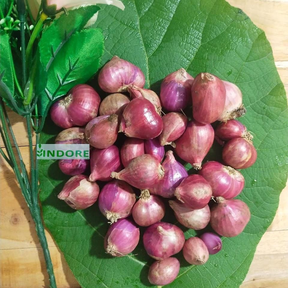 

BAWANG MERAH / BAWANG MERAH 500 GR SUPER, BRAMBANG MERAH KERING