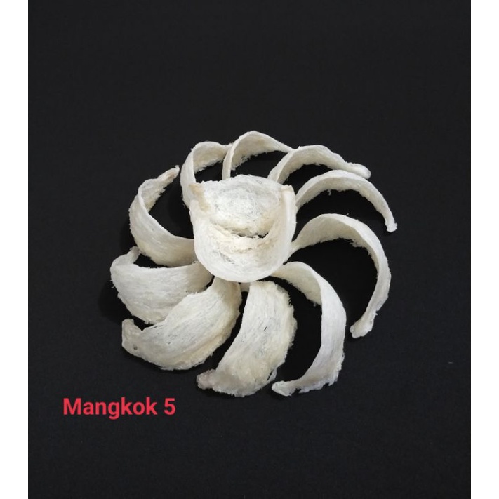 

Sarang walet kalimantan - mangkok ukuran 5