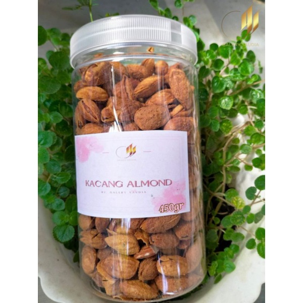

Kacang Almond Kemasan Toples
