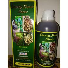 Sarang semut super prima Asli 100% isi 500 ml | Sarang semut cair super prima herbal