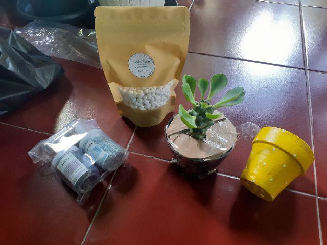 (best Seller) Paket Sehat Nutrisi Tanaman Npk Furadan Osmocote Pk-06