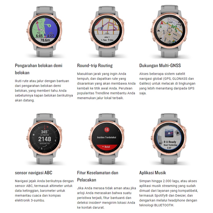 Garmin Fenix 6S Series