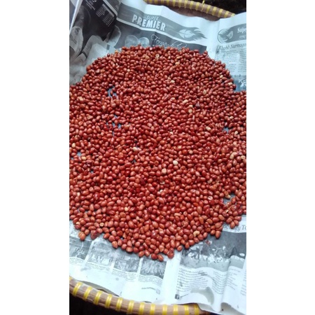 

kacang tanah goreng asin