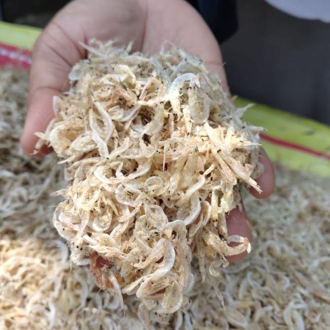 

Udang Rebon Tawar Kering 1Kg